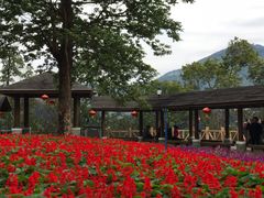 景点-广州市流溪河国家森林公园
