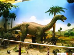 -国家自然博物馆