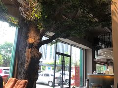 -迪欧咖啡·中西餐融合菜(平江万达旗舰店)