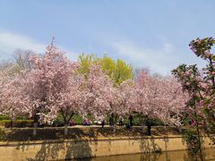 -海棠花溪(元大都城垣遗址公园)