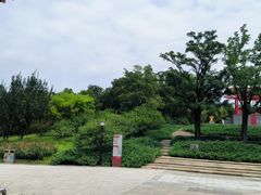 -大望京公园
