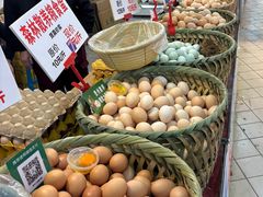 -西南政法大学(渝北校区)
