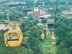 -黄腾峡天门悬廊