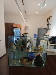 -十月日记高端孕妈妈摄影(黄金大厦店)