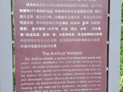 -成都市活水公园