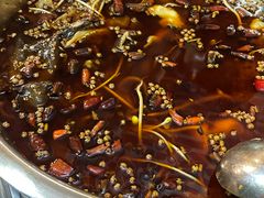 -好巴适藤椒鱼(红牌楼北街店)