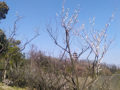 -蜀冈西峰生态公园