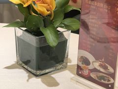 -金粤九号(李公堤店)