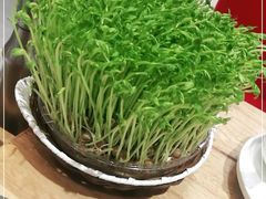 -好彩猪肚鸡(正弘城店)