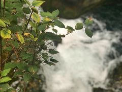 -山西壶关太行山大峡谷旅游景区