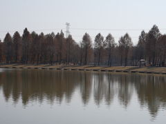 -宁波杭州湾国家湿地公园