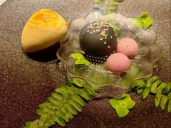 -叶叶菩提(太原别墅店)