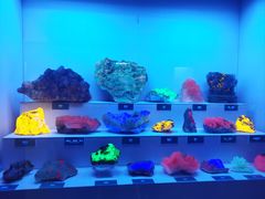 -湖南省地质博物馆