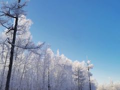-北极村旅游风景区
