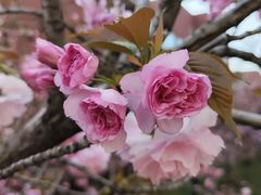 -山东大学(软件园校区)