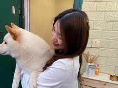 -喜柴咖啡·柴犬狗咖