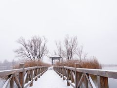 -野鸭湖国家湿地公园