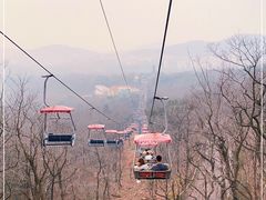 -青岛中山公园-索道售票处