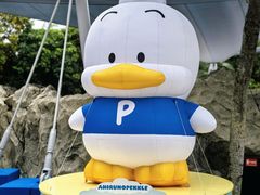 -新加坡水上探险乐园