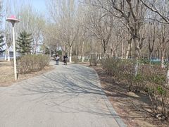 -长白岛森林公园