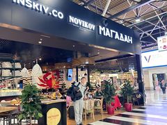 -谢列梅捷沃国际机场