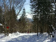 -雪谷