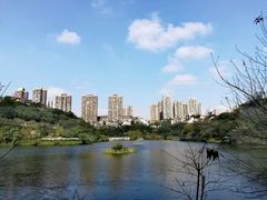-重庆彩云湖湿地公园