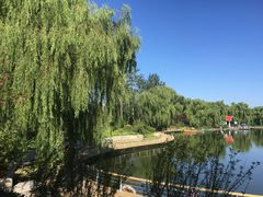 -济南植物园