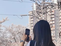 -西北湖绿化广场