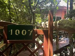 -三亚亚龙湾人间天堂鸟巢度假村