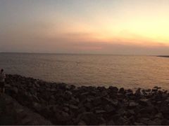 -上海崇明金茂凯悦酒店