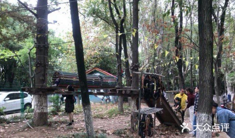 小朋友放电好去处—冒险森林·户外教育营地