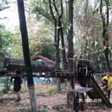小朋友放电好去处—冒险森林·户外教育营地