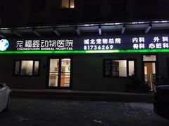 -宠福鑫动物医院(城北分院)