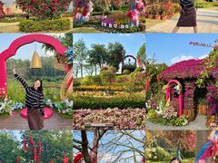 -东莞植物园