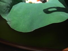 -菩提素素食餐厅(晶郦馆店)