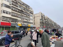 -中环花鸟鱼虫市场
