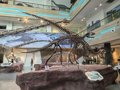 -安徽省地质博物馆