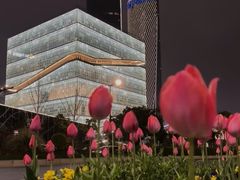 -杭州奥体中心-体育场