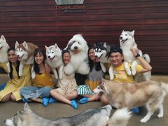 -TrueLove @ Neverland (Husky Cafe)