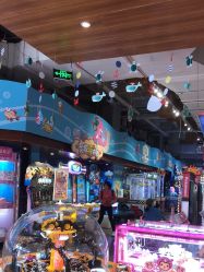 -探奇乐园蹦床公园(日月广场店)