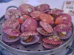 清蒸扇贝-日照大牌檔•小船海鲜(万平口店)