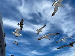 -海驴岛(荣成市)