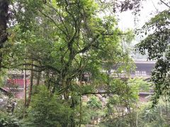 -峨眉山风景名胜区