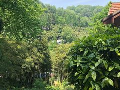 -莫干山风景区