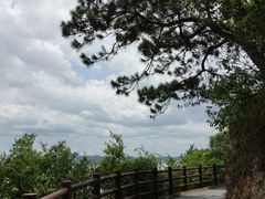 景点-羚羊峡古栈道森林公园