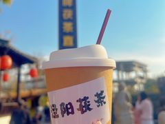 -茯茶镇