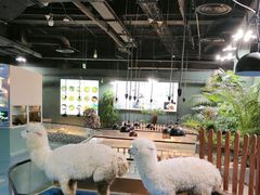 -上海大自然野生昆虫馆(东方明珠·爬宠昆虫探索中心)