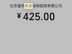 -瑞派·关忠动物医院·异宠专科·犬猫肿瘤·皮肤专科(望京店)