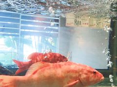 -鼎盛私厨·新派顺德菜(上河坊店)